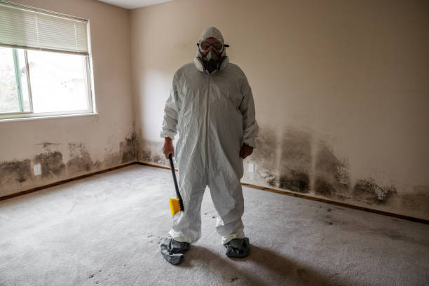 Biohazard Mold Removal in Florida City, FL